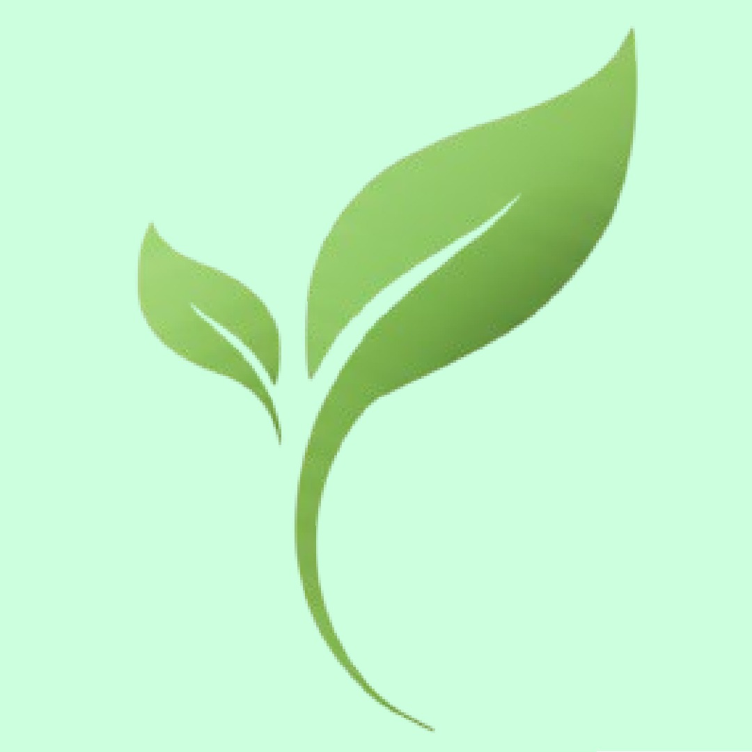Cruz Landscaping and Design Inc